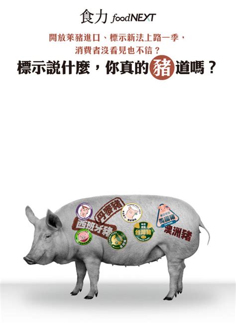 你豬道嗎|食力專題報導vol.43：標示說什麼，你真的豬道嗎？